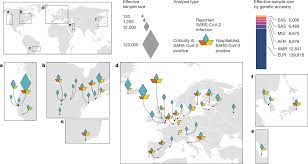 Mapping the human genetic architecture of COVID-19 | Nature