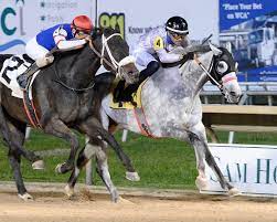 Delta Downs meet gets started with mix of day and night racing