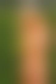 Amanda B Porn Pic - EPORNER