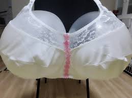 日本サイズ→Wカップ 巨乳 ワイヤーあり ブラジャー 下着 タンス整理品 スポーツ、運動等に 補正下着 sanikai-kansai.com