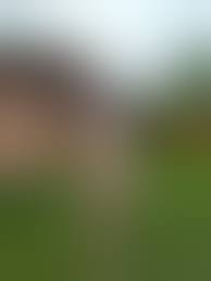 Mein mollige Freundin Tina posiert nackt im Garten - Nackte Frauen Bilder