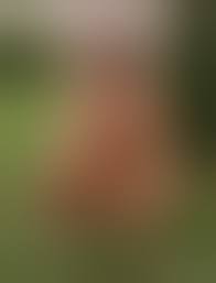 junge Exibitionistin 30 - FKK Bilder und Fotos