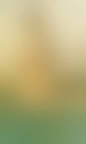 Romy Schneider nackt, Nacktbilder, Playboy, Nacktfotos, Fakes, Oben Ohne