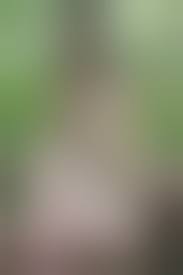 Behaarte Frauen Nackt Junge - Cumception