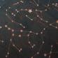 Free Event: Paint a Star Map for FFOS