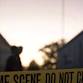 Crime Junkie Podcast