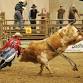 PROFESSIONAL RODEO