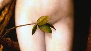 How vaginas are finally losing their stigma
