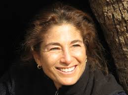 Free Meditations for Senses