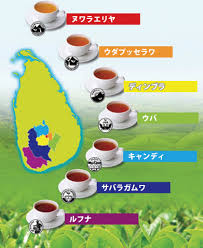 スリランカ 紅茶