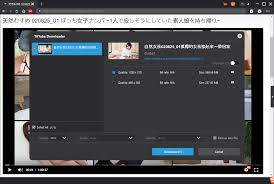 How to Download TKTube Porn Video with TKTube Downloader?