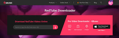 Die 8 besten RedTube Downloader zum Herunterladen von RedTube-Videos