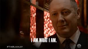 The Good Liar and I'll Never Tell by Catherine McKenzie book reviews