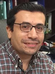 Mohsen Saber Mohammed Ahmed