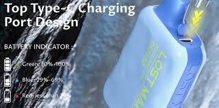 Lost Mary Vape Not Charging? Fix It Now (Human Author!)