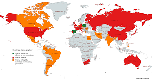 Is 123movies Safe & Legal in 2025? [Must-Read Tips]