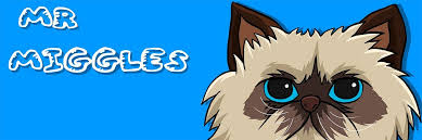 Introducing Mr Miggles: The Coinbase Cat Mascot | by BaseSwap | Medium