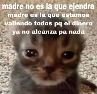 meme