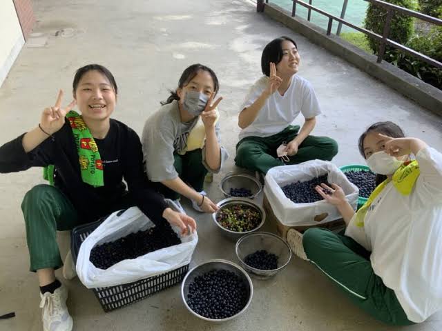 探究活動 SDGs「つくる責任、つかう責任」の実践 ～ブルーベリーの栽培と商品化～ | 麗澤瑞浪中学・高等学校 【寮がある中高一貫教育校】