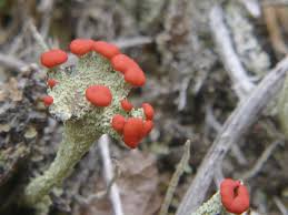 草津スカイランドホテル