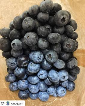 森のブルーベリーがプロの手によって、おいしく変身しちゃう。毎年密かなお楽しみ♡ #Repost @ono.pain with @use.repost  ・・・ 今年も始まってます #ブルーベリーマフィン @rod_djuret さんの無農薬愛情たっぷりブルーベリー 甘くて酸味もありとても美味しい  オーナー ...