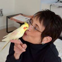 Minnesota Bridge: District 14