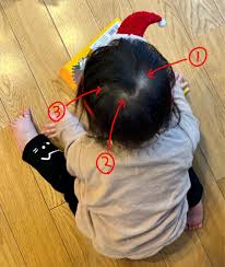 猫の手貸して - ライブドアブログ