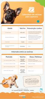 Conheça as vacinas para cachorro | Blog da Cobasi