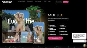 Top 9 WordPress Themes for NSFW Websites in 2025
