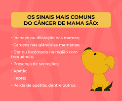 Mastectomia em cadelas: quais os tipos e como é o pós-operatório - Inova  Veterinária