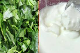 Curd and Greens in Sawan: सावन में क्यों नहीं खाना चाहिए दही और साग, जानिए  इसके पीछे का वैज्ञानिक कारण