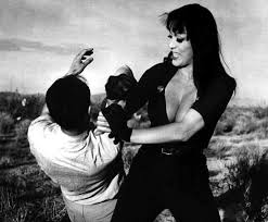 Hot, Black Leather, Whip” - Caroline Heldman, Laura Lazarus Frankel,  Jennifer Holmes, 2016