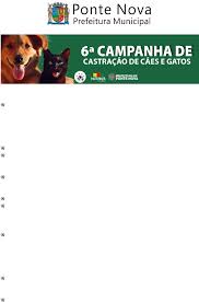 Grátis: ORIENTAÇÕES DA 6 CAMPANHA DE CASTRAÇÃO DE CÃES E GATOS - PONTE NOVA  2023 - Material Claro e Objetivo em PDF para Estudo Rápido