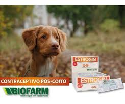 Estrogin Contraceptivo 2ml Anti Cio Para Cadelas e Gatas - Biofarm -  Union.Pet