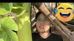 ដាក់ចូលអត់បង?MVគុណភាព🤣🤣😂 (AI) #reelsvideoシ #reelsviral ...