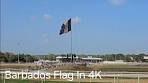 Barbados - Garrison Savannah World Heritage Site and a look ...
