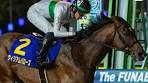 WILLIAM BARROWS beat USHBA TESORO in the G2 Nippon ...
