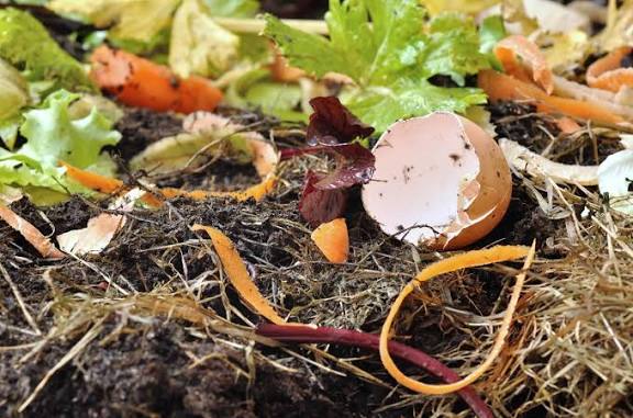Kitchen scraps for composting including peels and eggshells