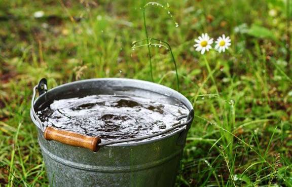 Collecting greywater in a bucket for garden reuse