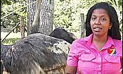 7 News Belize