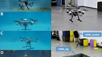 Chinese researchers develop amphibious 'flying fish' drone