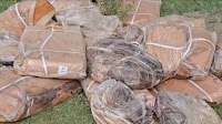 5000 Kg And Counting: Rotten Meat Seizure In Kashmir Highlights Lack Of Monitoring At Source