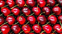 Prices for cherries keep decreasing in Moldova