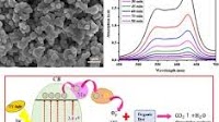 Bandgap tuning by controlled growth of Mo doped NiO nanoparticles and their functional role as excellent photocatalytic degradation agent
