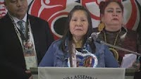 First Nations leaders demand national inquiry into 'epidemic' of deaths by police