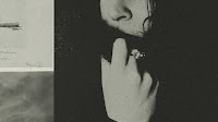 ‘Creation Lake’ by Rachel Kushner book review