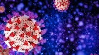 The virus that won’t quit: new research reveals how SARS-CoV-2 evolves