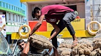 STO sells onions at MVR 16 per kg