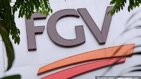 No report on FGV's Indonesian subsidiaries involvement in open burnng