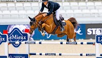 Cydello tops the second WBFSH Breeder Ranking for jumping horses of 2024
